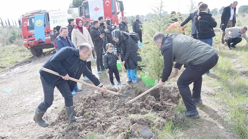 Çan’da fidanlar toprakla buluştu