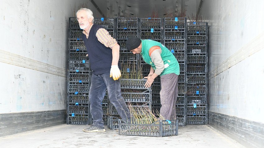 Meyve fidanı ihracatında ilk TIR yola çıktı