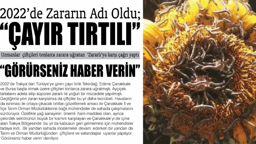 2022’de Zararın Adı Oldu; “ÇAYIR TIRTILI” Uzmanlar  çiftçileri tonlarca zarara uğratan  ‘Zararlı’ya karşı çağrı yaptı “GÖRÜRSENİZ HABER VERİN”