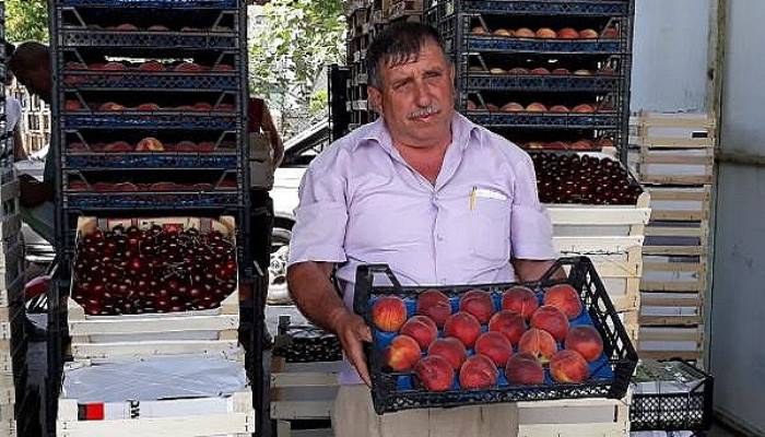 Lapseki'de kirazla yüzü gülen üretici, şeftaliden de umutlu (VİDEO)