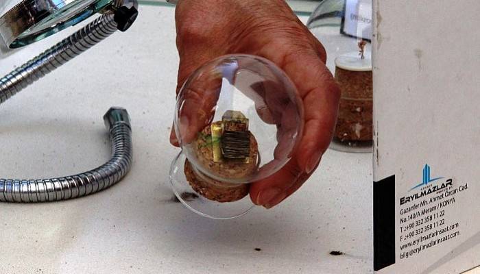 Dünyanın en küçük Kur’anı Kerim’lerinden biri görenleri şaşırtıyor