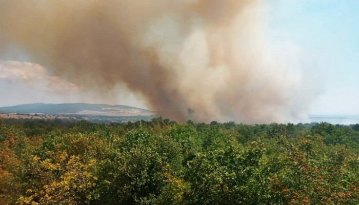 Gelibolu'da orman yangını; 20 dönüm alan zarar gördü