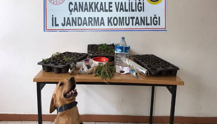 Gelibolu’da 'Roket'li uyuşturucu operasyonu: 2 gözaltı