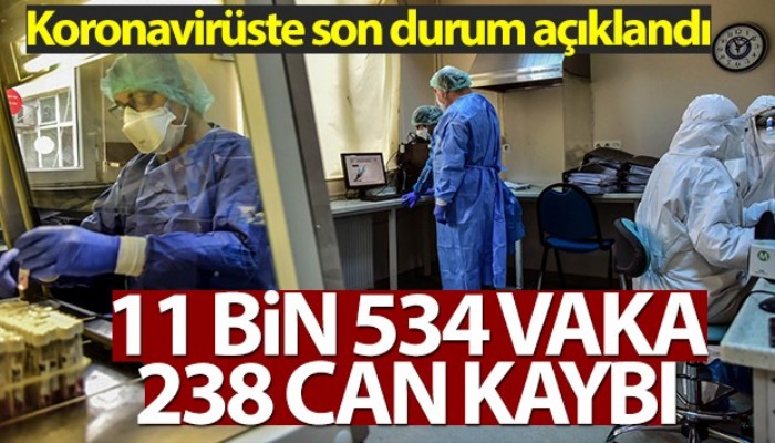 Son 24 saatte 11.534 koronavirüs vakası tespit edildi