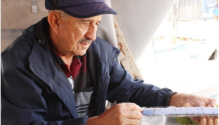 Çanakkale’de Muhteşem Lüfer ve Denize Adanmış Bir Ömür