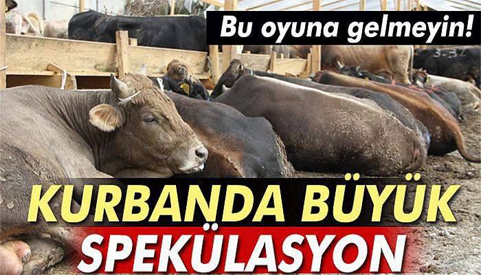 Palandöken: Kurban ve et fiyatları spekülasyonla yükseliyor