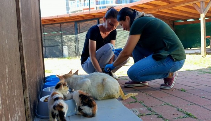 Kedi Köyü Sakinlerine Sağlık Taraması