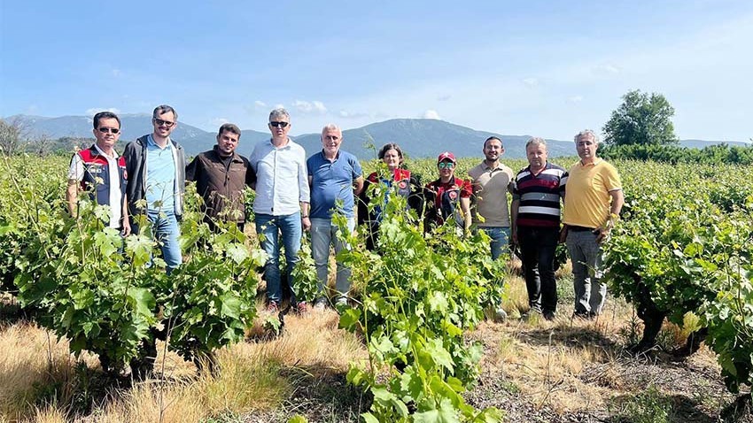 Don Zararı İnceleniyor