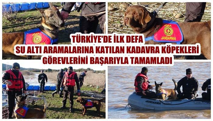 Jandarmanın kadavra köpekleri Çanakkale’de ilki başardı