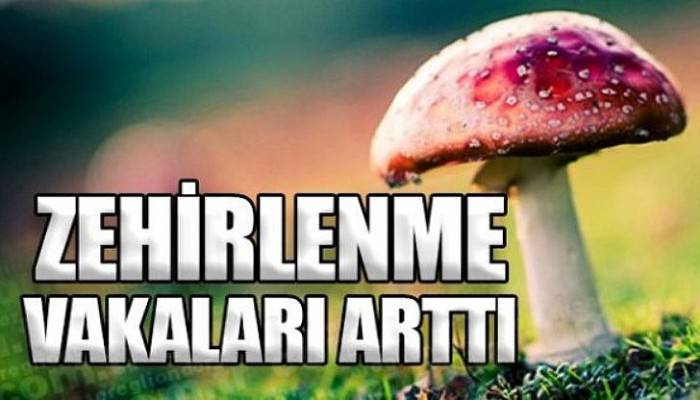 İLÇE SAĞLIK MÜDÜRLÜĞÜ MANTAR ZEHİRLENMELERİNE KARŞI UYARDI