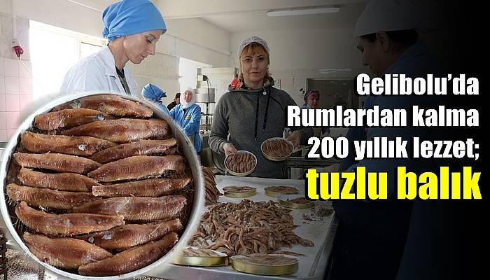 Gelibolu’da Rumlardan kalma 200 yıllık lezzet; tuzlu balık