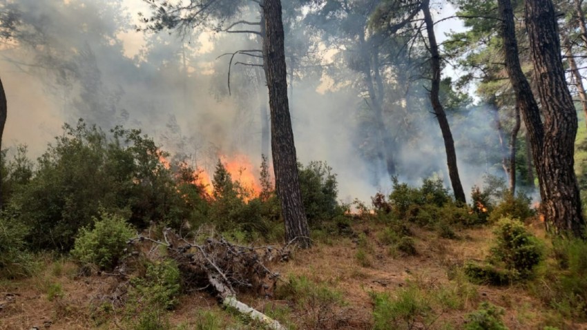  Çanakkale’de yıldırım kaynaklı 7’nci orman yangını başladı! 