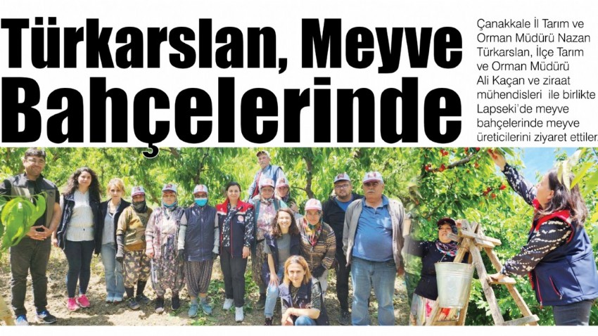 Türkarslan, Meyve bahçelerinde