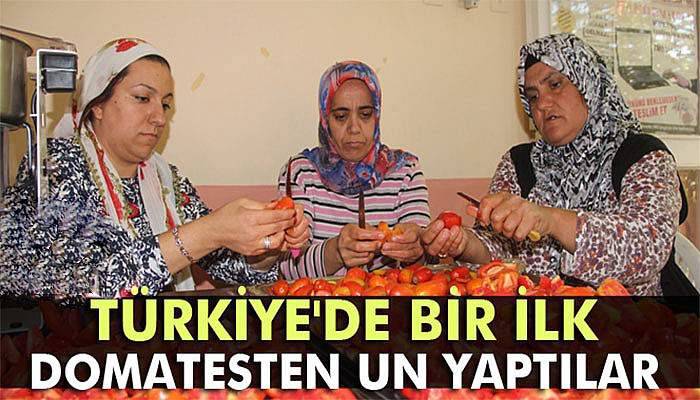 Türkiye'de bir ilk, çiftçi kadınlar domatesten un yaptı