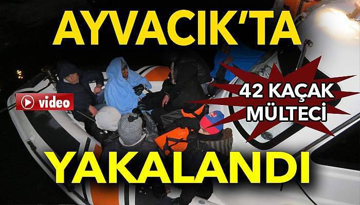 Ayvacık’ta 42 kaçak yakalandı