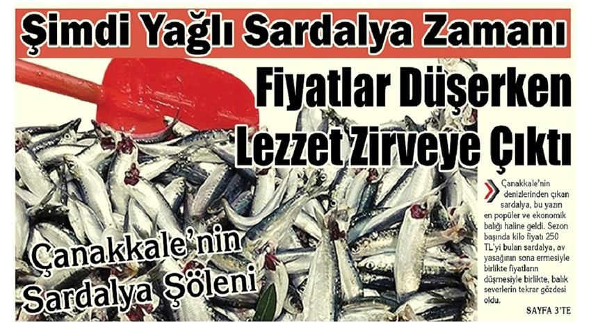 Şimdi Yağlı Sardalya Zamanı