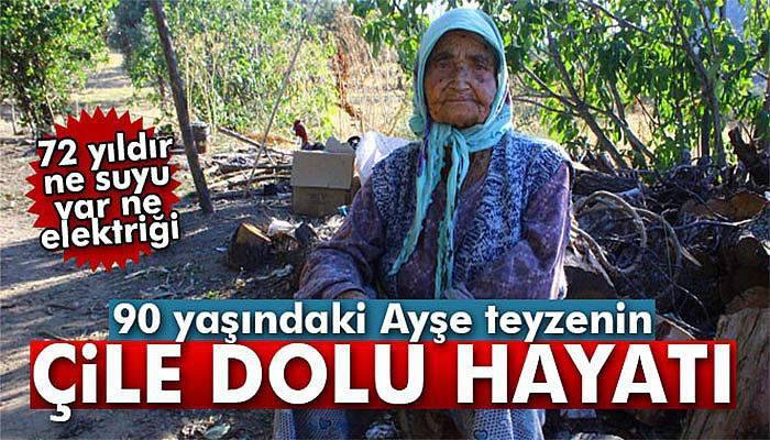 Yaşlı kadının dağda çile dolu hayatı