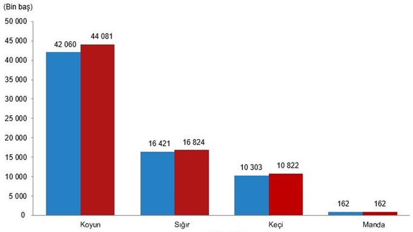 Hayvan sayısı arttı