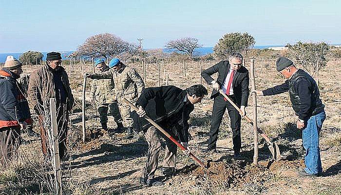 Bozcaada Bal Ormanı Projesi