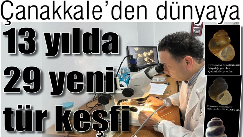 Çanakkale’den dünyaya, 13 yılda 29 yeni tür keşfi