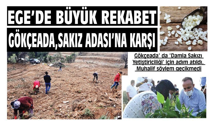 EGE'DE BÜYÜK REKABET! GÖKÇEADA, SAKIZ ADASI'NA KARŞI