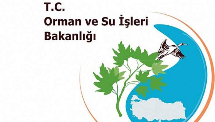 Orman ve Su İşleri Bakanlığı’nda 221 personel görevden uzaklaştırıldı