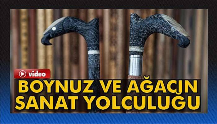 Boynuz ve ağacın sanat yolculuğu