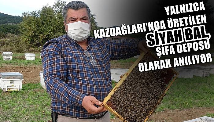 Hobi amaçlı başladığı arıcılıkla korona virüse savaş açtı (VİDEO)