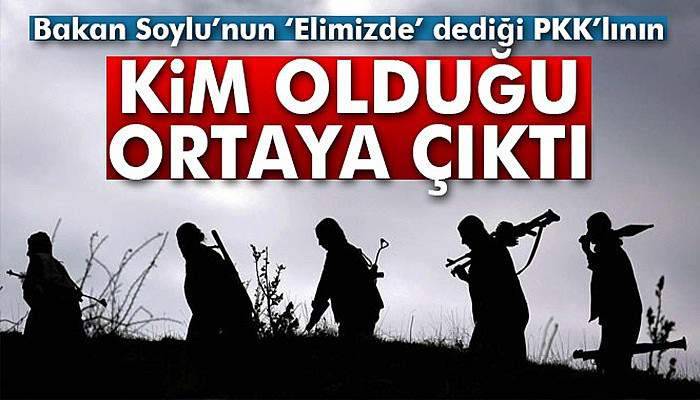 Yakalanan üst düzey PKK'lı yönetici kim?