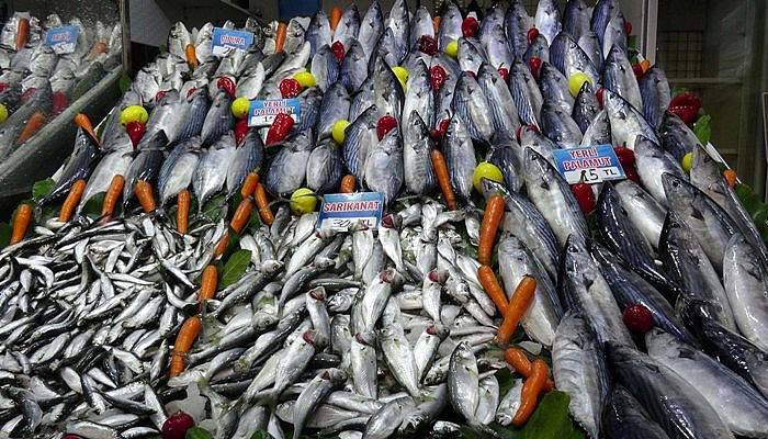 Palamutta bolluk bitti, fiyatı yüzde 50 zamlandı