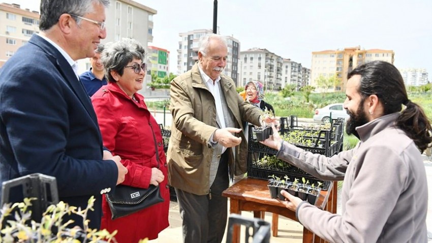 Yerel tohumlardan üretilen fidelerin dağıtımı devam ediyor