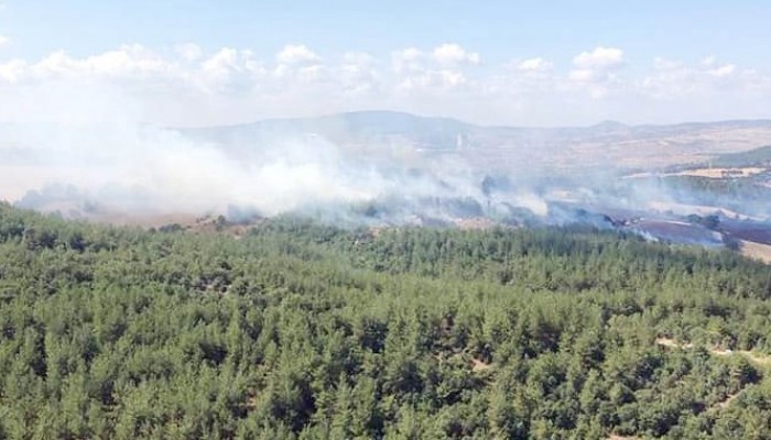 Çan'da Ormanlık Alanda Yangın Çıktı 