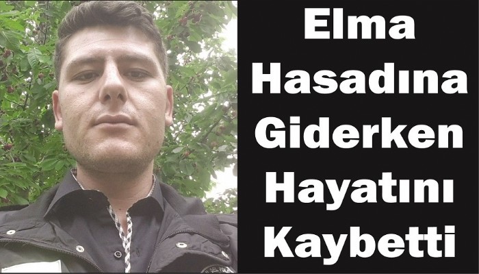 Elma Hasadına Giderken Hayatını Kaybetti