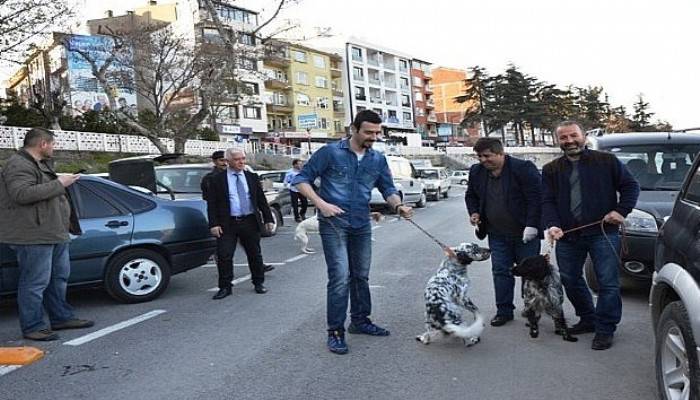  Biga’da av köpekleri aşılandı