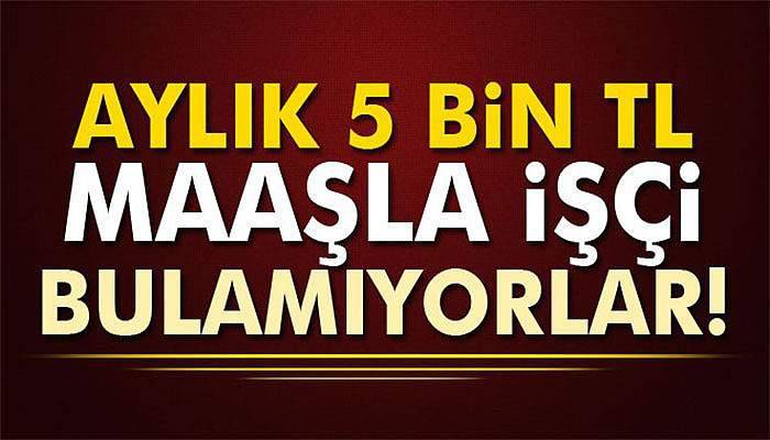 Aylık 5 bin TL maaşla işçi bulamıyorlar