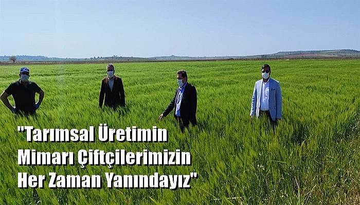 Vali Tavlı'dan 'Dünya Çiftçiler Günü' Mesajı