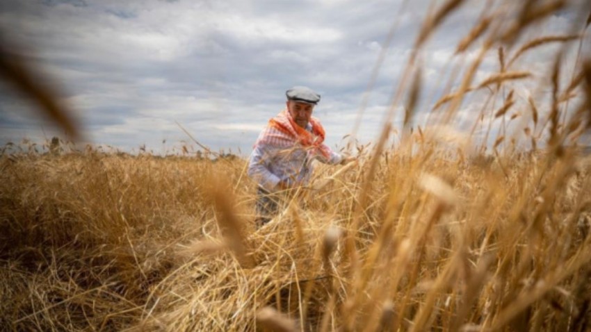 Tarım-GFE yıllık yüzde 40,11 arttı