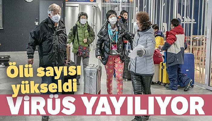 Çin'de salgın nedeniyle ölü sayısı 563'e yükseldi