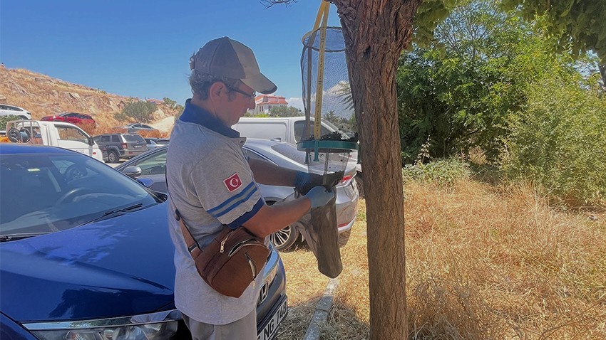 Bozcaada'da Vektörle Mücadele Çalışmaları Aralıksız Sürüyor