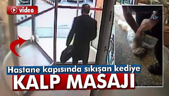 Hastane kapısında sıkışan kediye kalp masajı