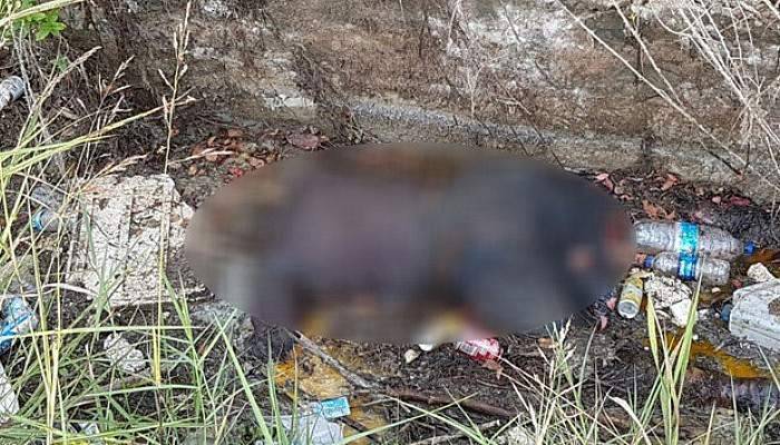 Kayıp kadının cesedi 21 gün sonra sulama kanalında bulundu