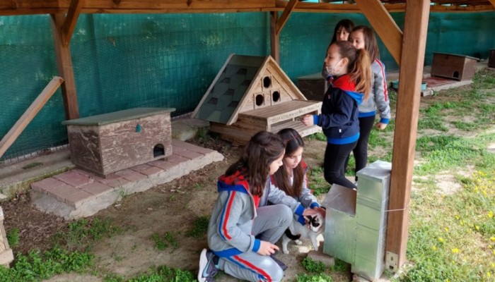 Bahçeşehir Koleji'nden Sokak Hayvanları Rehabilitasyon Merkezi'ne Ziyaret
