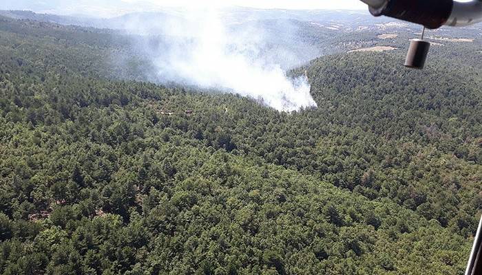 Bayramiç’te orman yangını