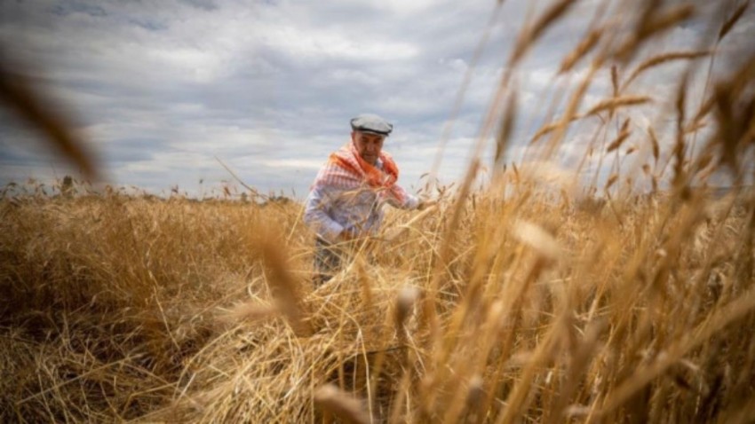 Tarım-GFE yıllık yüzde 40,97 arttı