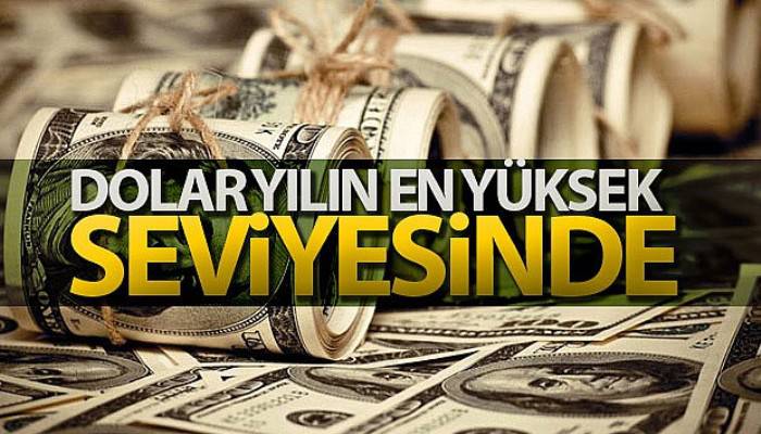 Dolar yılın en yüksek seviyesinde