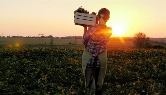 Kadın Çiftçilere 10 Milyar TL'lik Destek