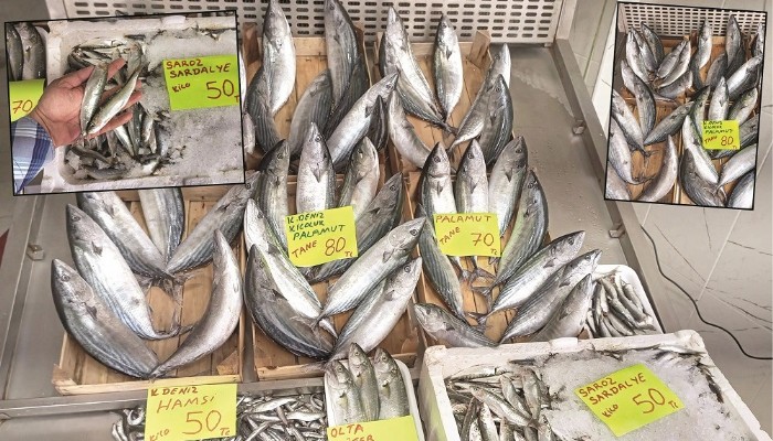 Balık Fiyatları Sabit Gidiyor
