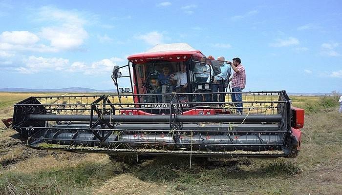 Çeltik hasat töreni yapıldı