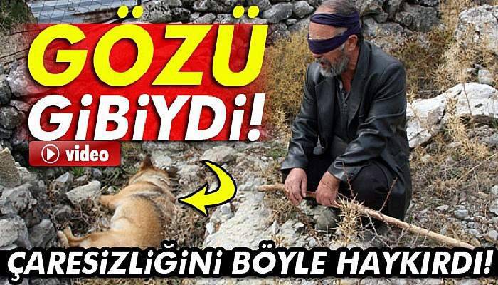 Görme engelli vatandaşın rehber köpeğini öldürdüler