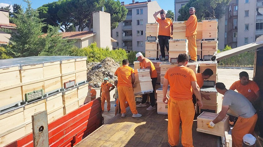 Yangın sonrası büyük destek; Üreticilerin yaraları sarılıyor
